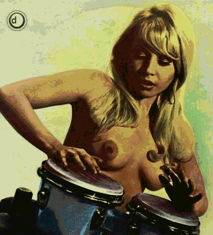 bongos drums w.gif